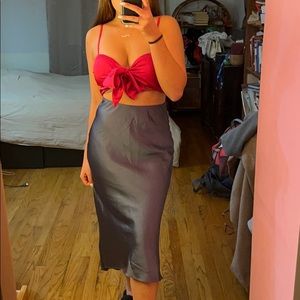 Abercrombie & Fitch: Blueberry Skirt